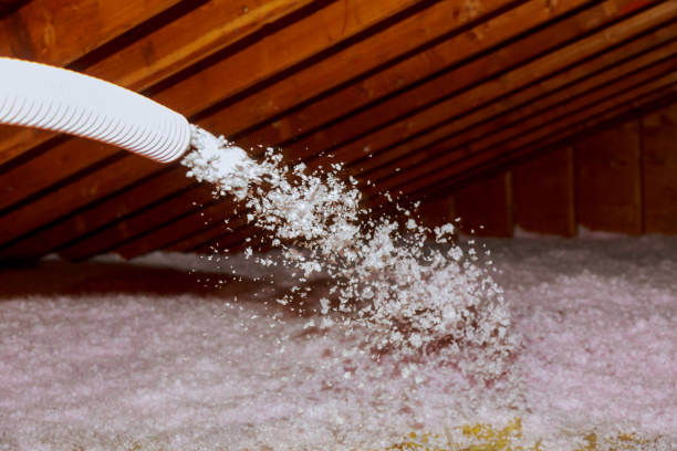 Professional Insulation Contractor in Frankfort, IL