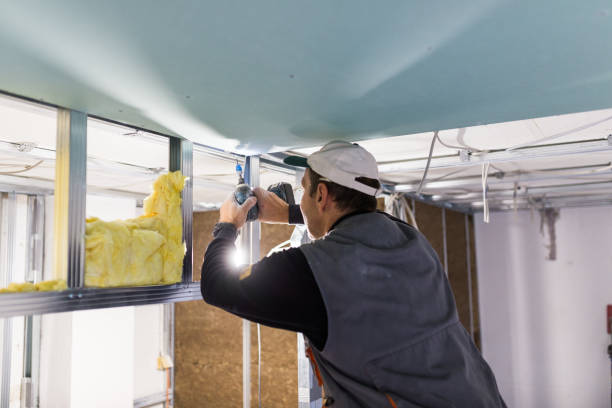Best Insulation for Specific Applications in Frankfort, IL