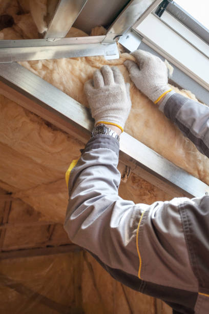 Best Insulation Maintenance and Repair in Frankfort, IL
