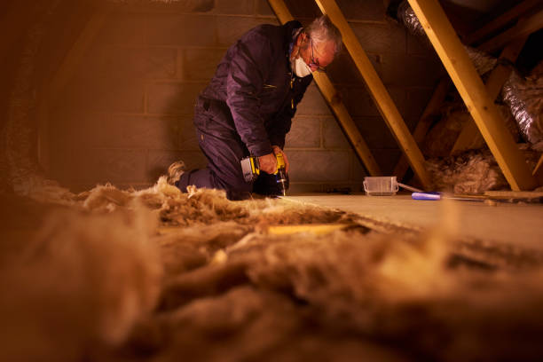 Best Specialized Insulation Services in Frankfort, IL