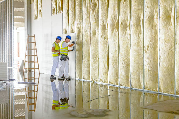Best Energy Efficiency Insulation in Frankfort, IL